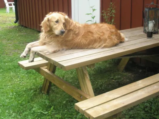 Hausfrieden lieber nicht stören Bild: Hausfrieden lieber nicht stören