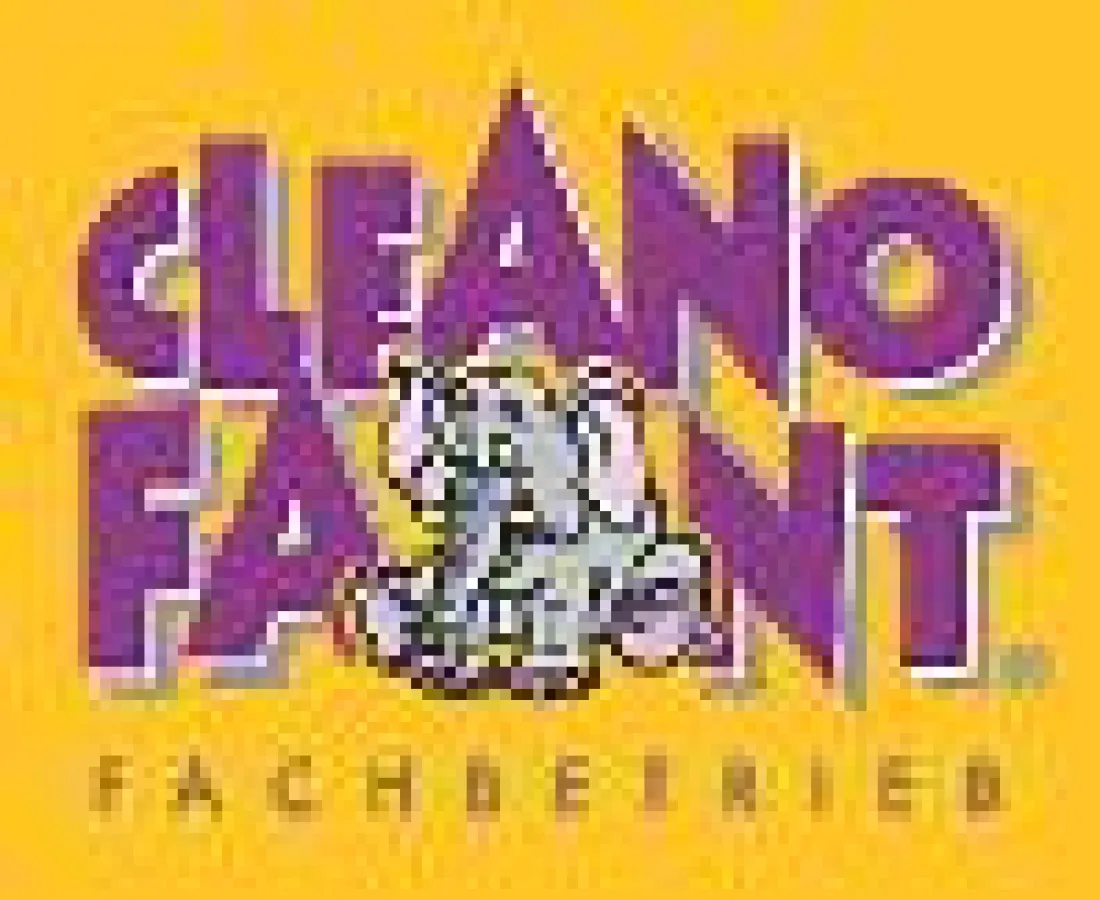 CLEANOFANT Fachbetrieb Heilbronn-Stuttgart