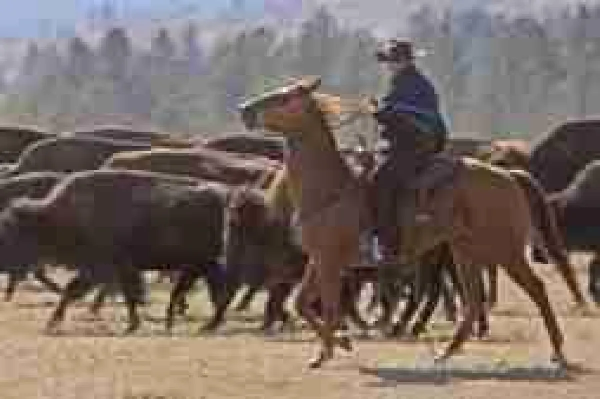 (c) South Dakota Office of Tourism