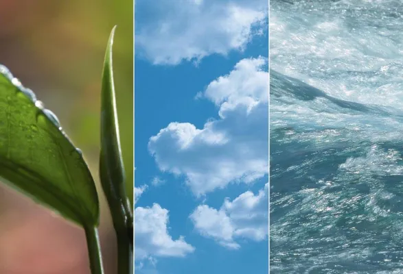 Bild: Dimplex Wärmepumpen gehört die Zukunft.  Kostengünstig, umweltfreundlich und zukunftssicher heizen