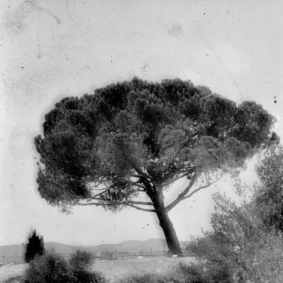 NUR NOCH WENIGE TAGE. WUNDERLAND - Fotografien von Inessa Dolinskaia Bild: NUR NOCH WENIGE TAGE. WUNDERLAND - Fotografien von Inessa Dolinskaia