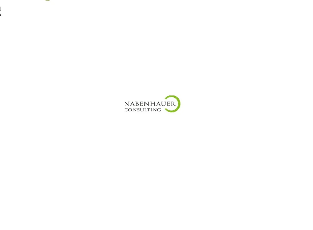 Nabenhauer Consulting (© Nabenhauer Consulting)