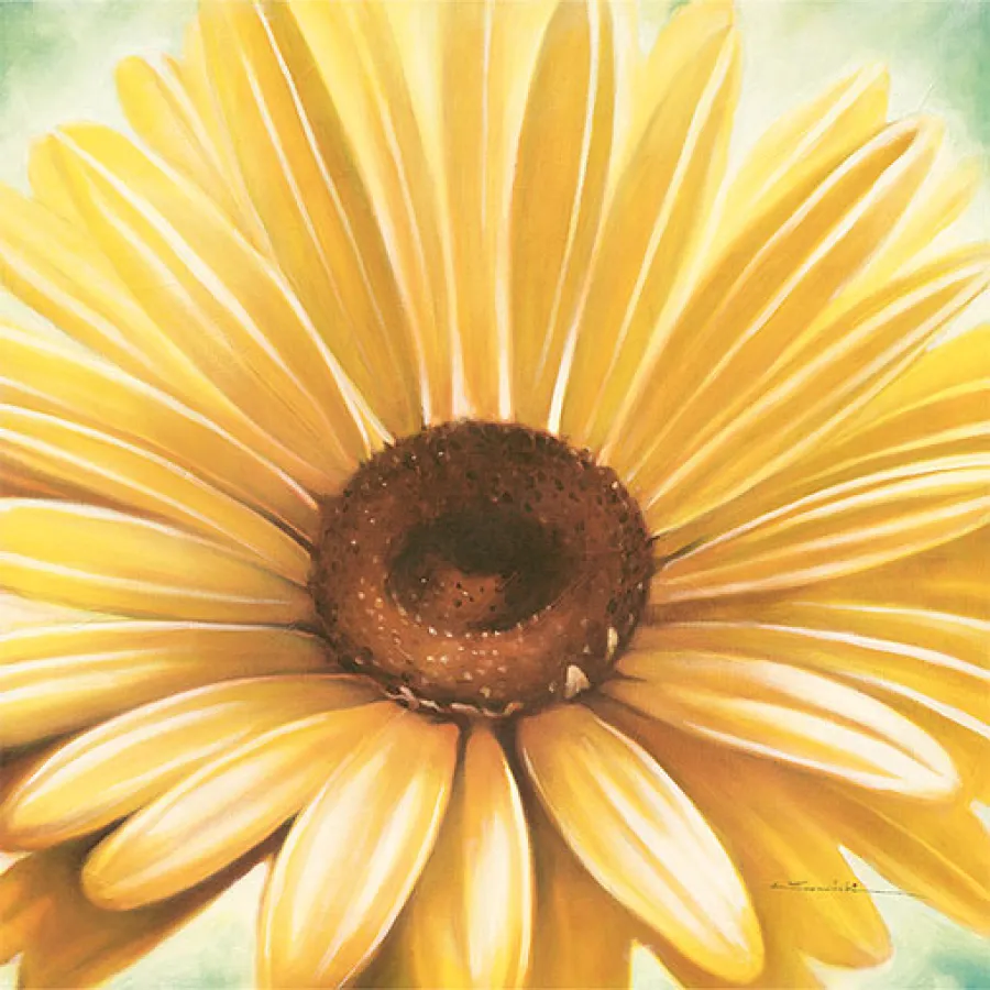Bild von Warminski: Rays of Yellow