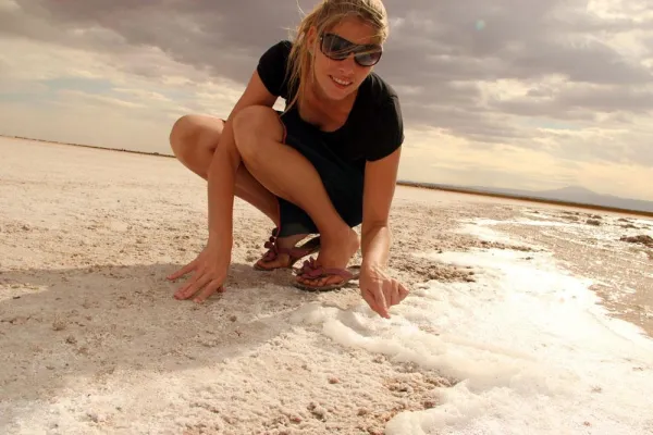 41. Tier: Fliege im Salz-Schaum Bild: 41. Tier: Fliege im Salz-Schaum