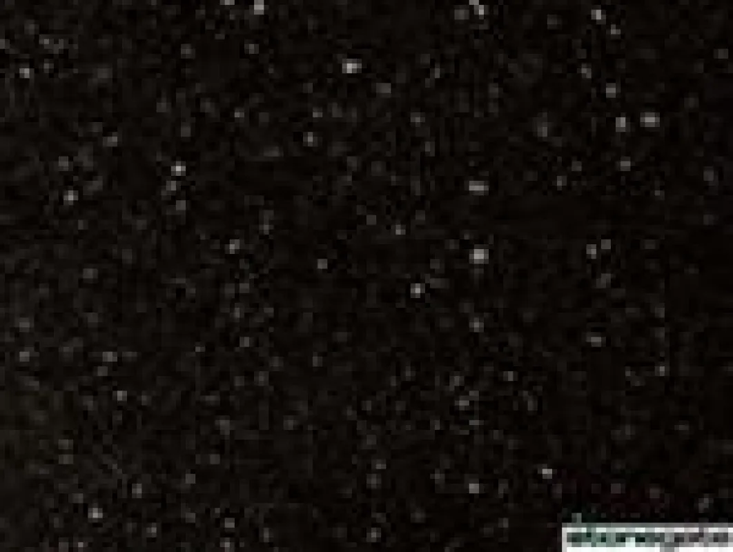 Granitfliesen - Star Galaxy