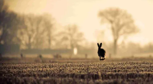 Bild: Fotografie-Ausstellung "Entzeitet-Momente in Nordfriesland"