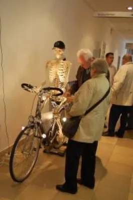 Gut informiert bei Arthrose und Arthritis Bild: Gut informiert bei Arthrose und Arthritis