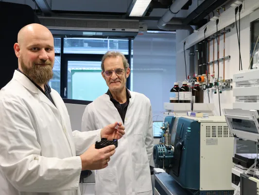 Der Pilzpartner des Werftkäfers: mehr als nur ein Nahrungslieferant Bild: Der Pilzpartner des Werftkäfers: mehr als nur ein Nahrungslieferant