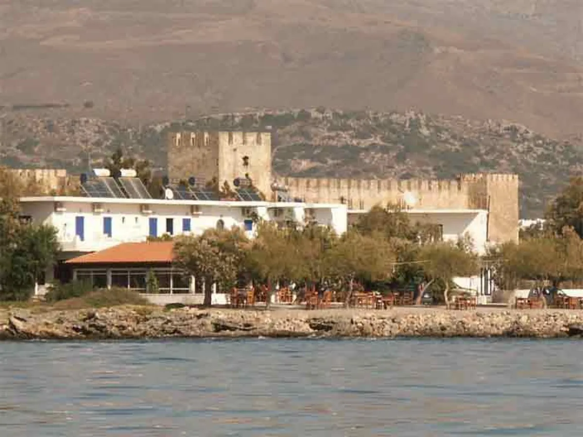 flisvos vom meer aus