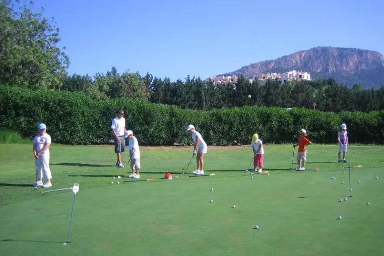Bild: Green-Vieh Golfcamps auf der der Sommerweide im GC München-West Odelzhausen