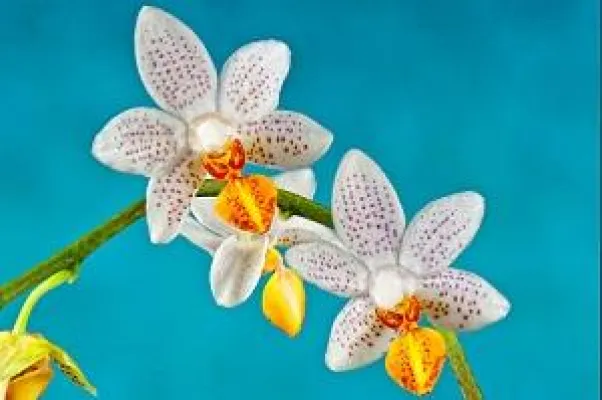 Bild: 3D Boom: Einfluss von 3D auf das Marketing