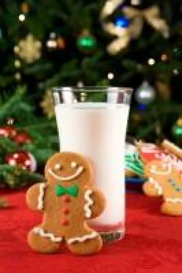 © Olga Lyubkina - Fotolia.com