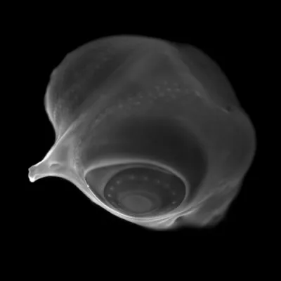 Bild: "konkrete masse" - Fotografien von Zoia Laufenberg