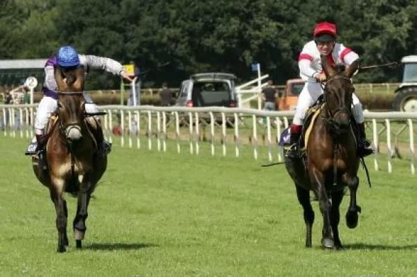 Französische Gaststute nicht zu schlagen Bild: Französische Gaststute nicht zu schlagen