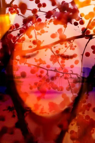 Bild: Nabiha & Thom zeigen ihre "Metamorphosen" auf der BERLINER LISTE