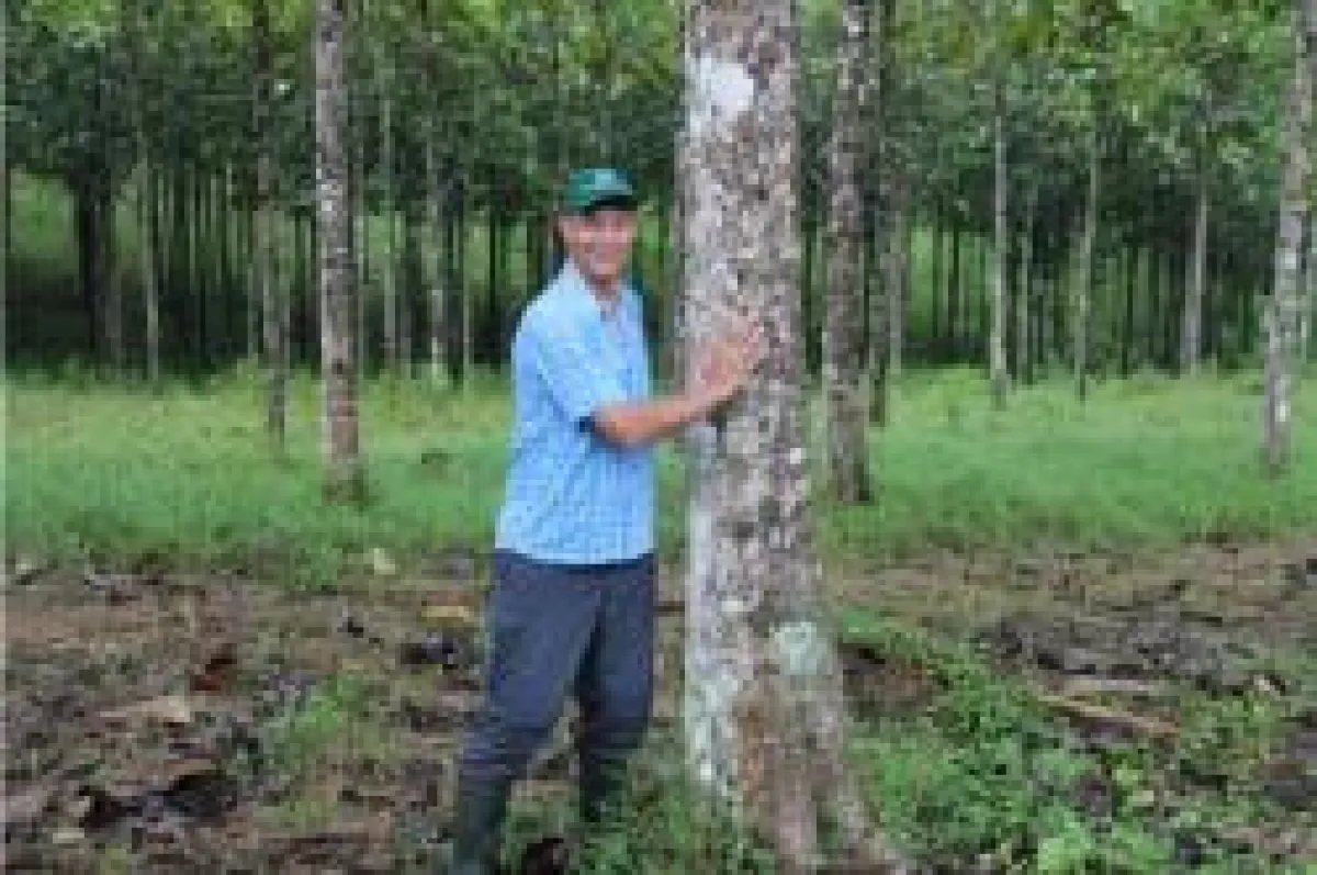 Life Forestry Transparenzoffensive