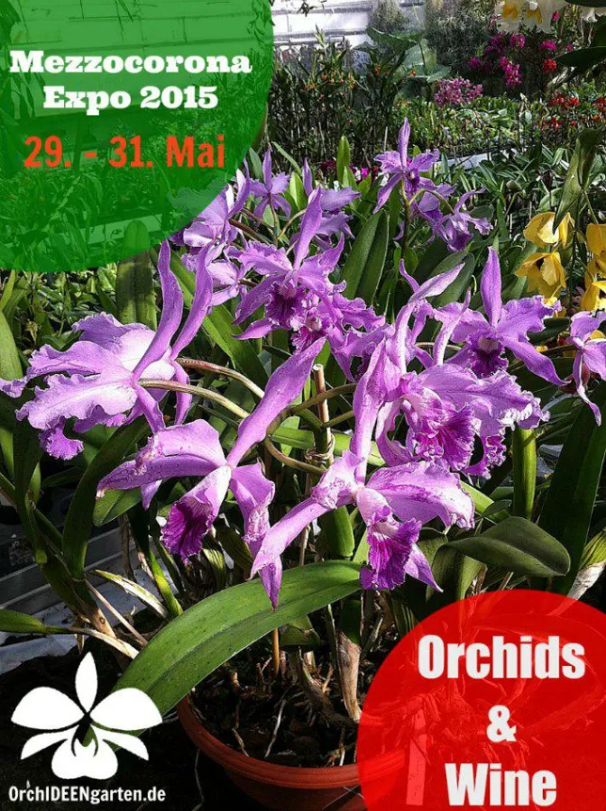 Orchideengarten Karge auf der Mezzocorona Expo 2015 Orchids&Wine