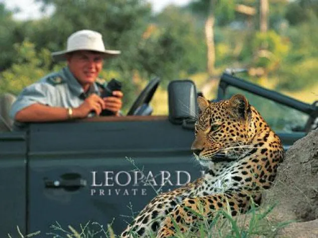 Wenn die Leopardendame auf einen Sprung vorbei kommt Bild: Wenn die Leopardendame auf einen Sprung vorbei kommt