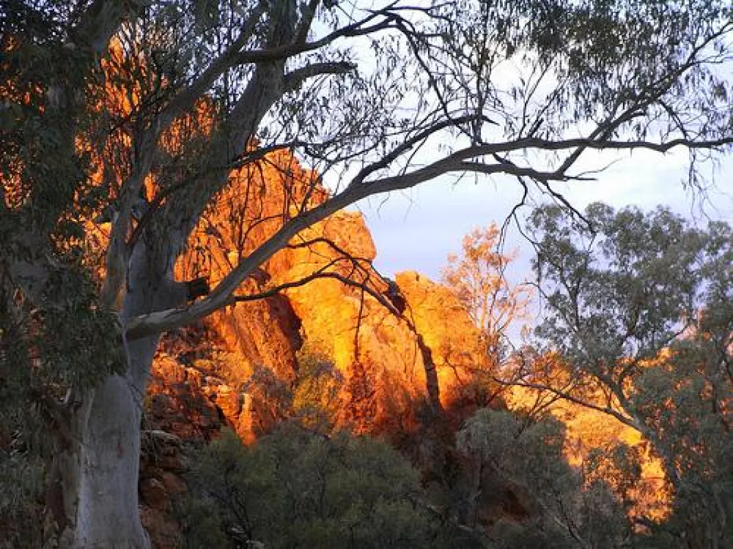 Larapinta Trail (c) Flickr, andydolman
