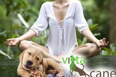 Allergien bei Hunden - Wenn falsches Futter zu Magen-Darm- und Hautproblemen führt Bild: Allergien bei Hunden - Wenn falsches Futter zu Magen-Darm- und Hautproblemen führt