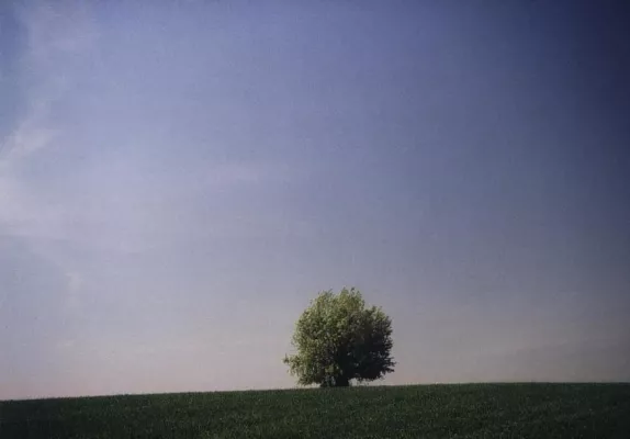 Fotokurse Schule des Sehens Bild: Fotokurse Schule des Sehens