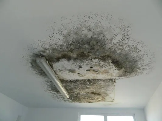 Bild: Spendenaufruf Reparatur des Tierklinikgebäudes, ROLDA Germany e.V. erbittet Hilfe