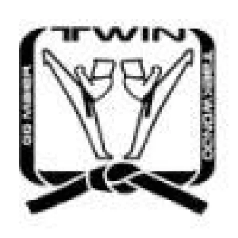 Bild: Kampfsport und Kampfkunst in Zürich im Twin Taekwondo Center