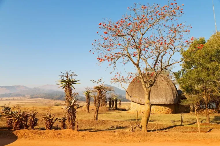 Bild: Herzensangelegenheit Dr. Schröder “Schulprojekt in Swasiland”