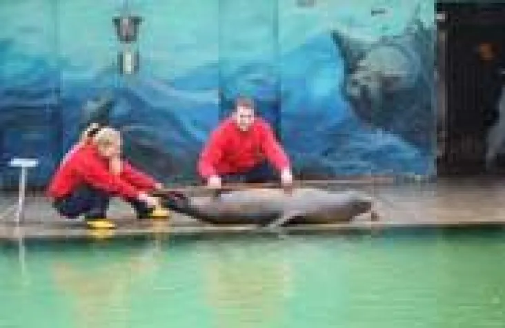 Bild: Tierische Inventur im Erlebnis-Zoo Hannover