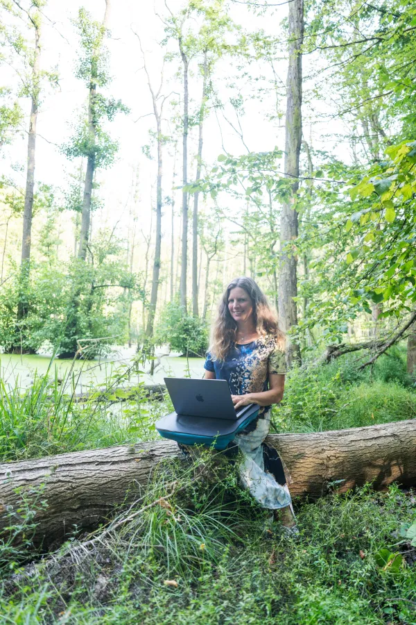 Mikropausen im Wald können Wunder wirken (© Friedrun Reinhold )