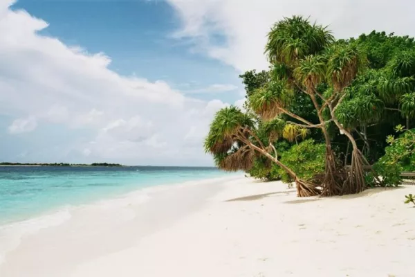 Bild: Royal Island auf den Malediven bester Strand 2009