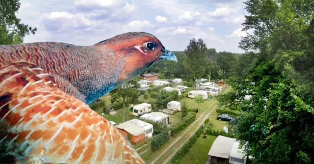 Dauercamping auf dem Campingplatz Hunte-Camp in Niedersachsen- Im Naturpark Wildeshauser Geest. Bild: Dauercamping auf dem Campingplatz Hunte-Camp in Niedersachsen- Im Naturpark Wildeshauser Geest.