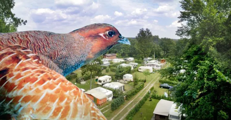 Bild: Dauercamping auf dem Campingplatz Hunte-Camp in Niedersachsen- Im Naturpark Wildeshauser Geest.