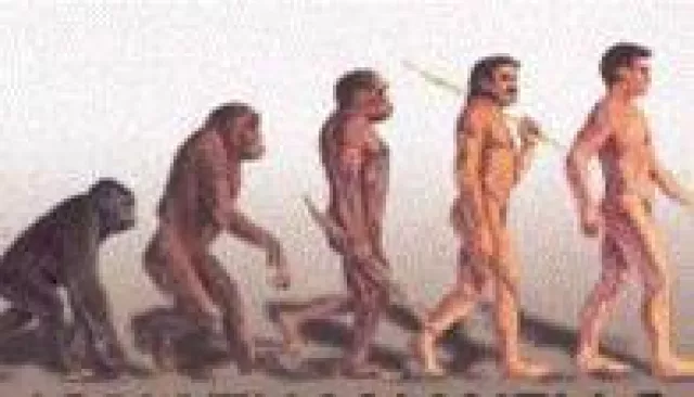 Bild: Vortrag zum Thema: Schöpfung / Evolution