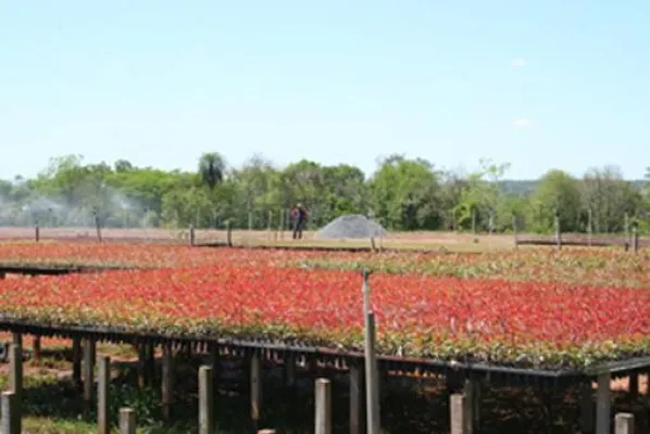 Bild: Miller investiert in eigene Infrastruktur