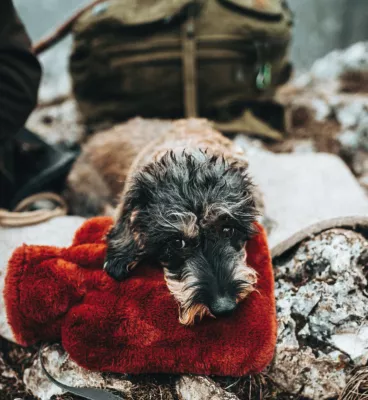 Bild: Vom Alltagsgegenstand zum Lifestyle-Produkt: Hugo Frosch Wärmflaschen begleiten unterschiedlichste Menschen