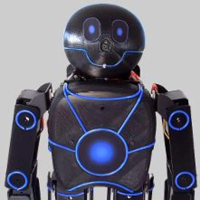 Roboter zum kostenlosen Nachbauen - www.german-robot.com