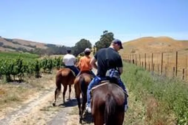 Auf Pferden durchs Weingut im Sonoma Valley zur Weinprobe Bild: Auf Pferden durchs Weingut im Sonoma Valley zur Weinprobe