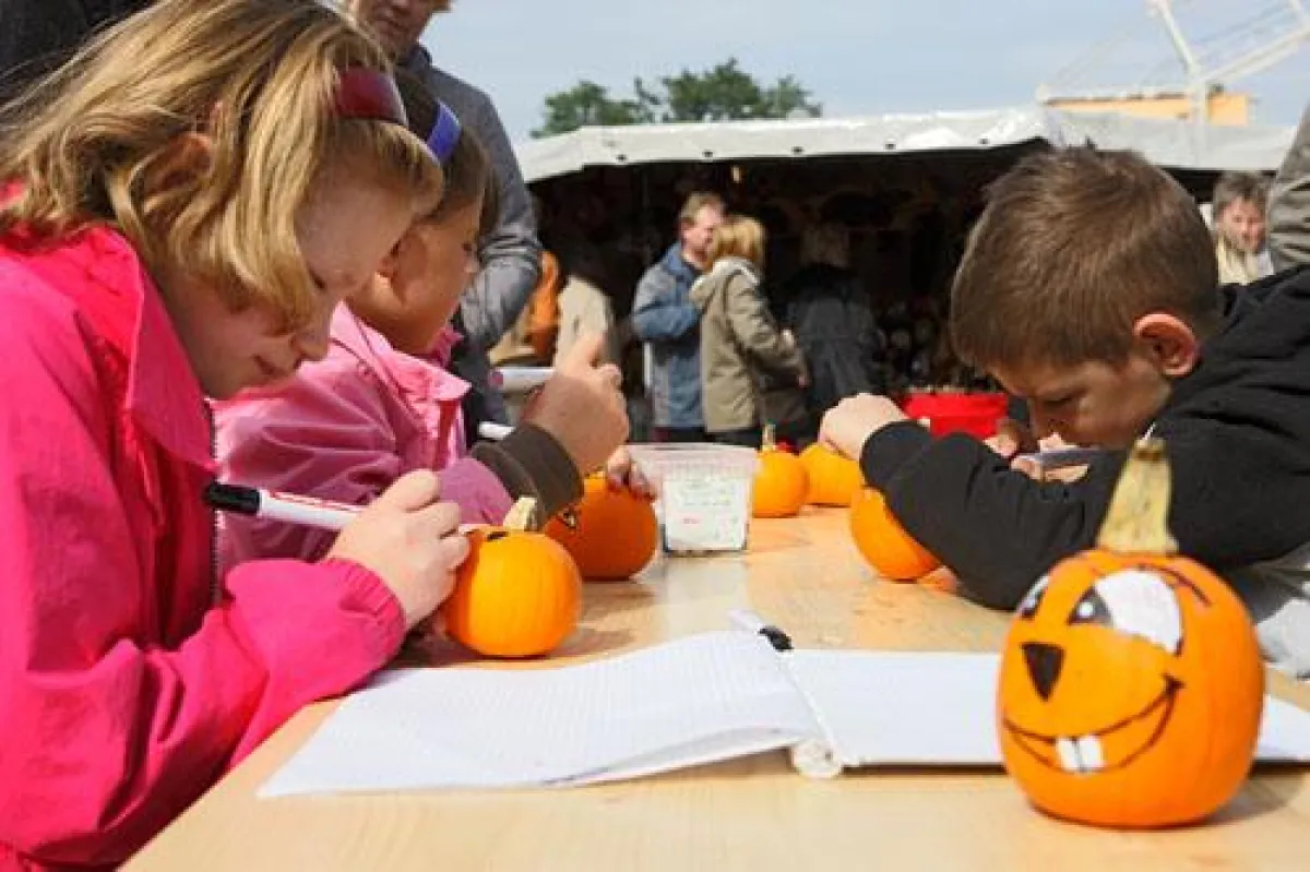 Kürbis-Kreativ-Wettbewerb auf dem Marktfest in Duisburg-Laar am 1. September