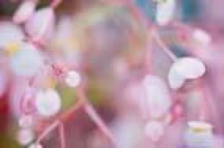 Bild: Mit Licht und Farbe schwingen – roomotions-Bilder bringen Harmonie und Freude in Räume