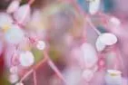 Bild: Mit Licht und Farbe schwingen – roomotions-Bilder bringen Harmonie und Freude in Räume