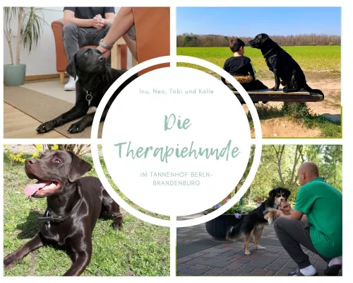 Bild: Fünf Eisbrecher für den Tannenhof Berlin-Brandenburg