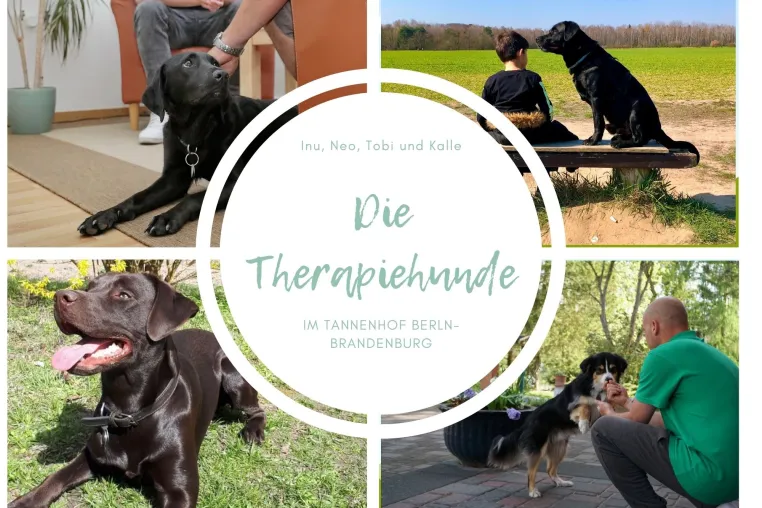 Fünf Eisbrecher für den Tannenhof Berlin-Brandenburg Bild: Fünf Eisbrecher für den Tannenhof Berlin-Brandenburg