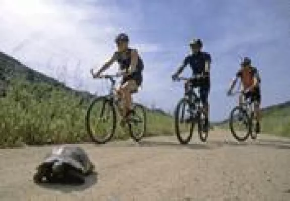 Bild: Sardegna-Bike-Zone, das Informationsportal zum Thema Biken auf Sardinien