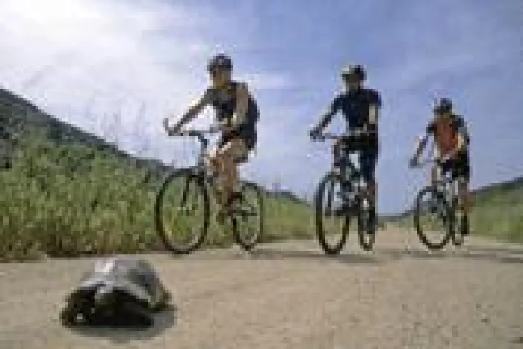 Sardegna-Bike-Zone, das Informationsportal zum Thema Biken auf Sardinien Bild: Sardegna-Bike-Zone, das Informationsportal zum Thema Biken auf Sardinien