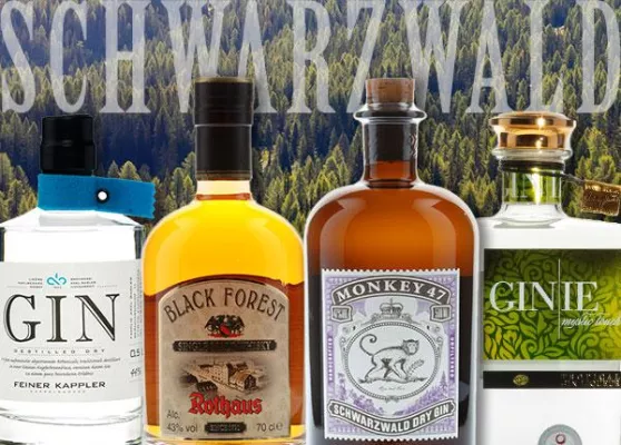 Bild: Der Schwarzwald ist die Nummer Eins bei deutschem Gin und Whisky