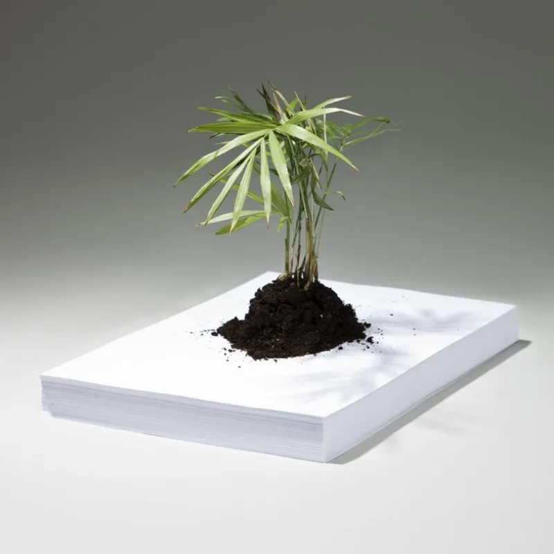 Das Digitaldruckverfahren ist prädesteniert für eine umweltschonende Druckproduktion. Im Idealfall entsteht kein Blatt Abfall.