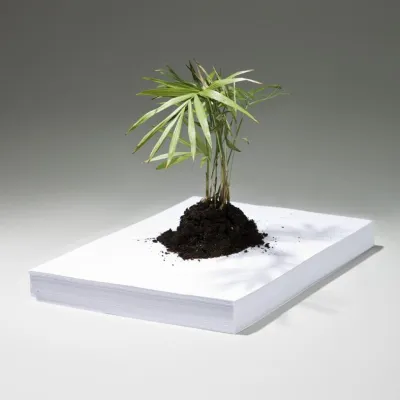 Bild: Ist Digitaldruck wirklich umweltfreundlich?