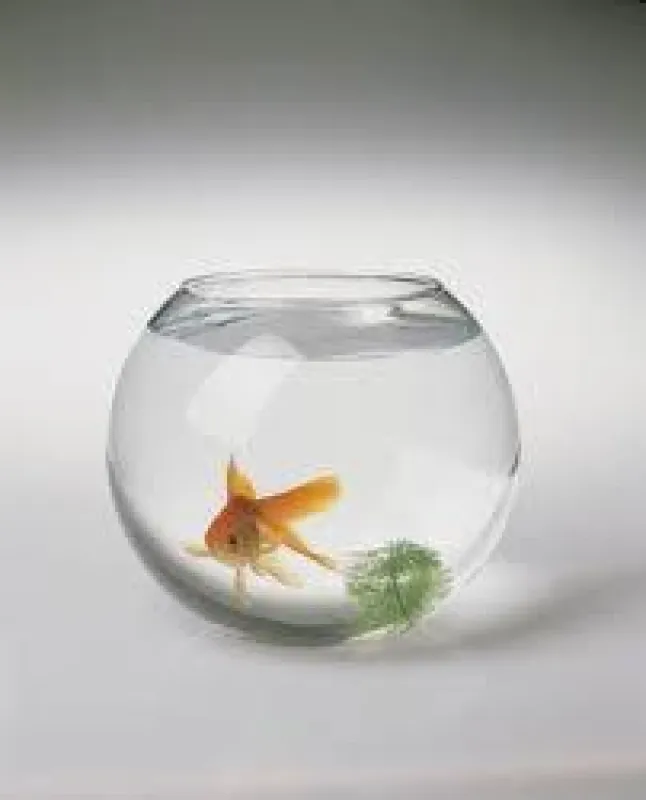 Aquarium