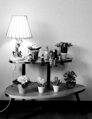 „Home is Where the Heart is“ Ein Filmspaziergang im Rahmen von film plus* Bild: „Home is Where the Heart is“ Ein Filmspaziergang im Rahmen von film plus*